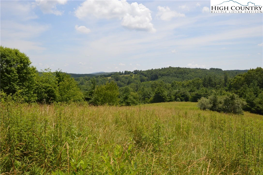 Image number 8 for the current listing