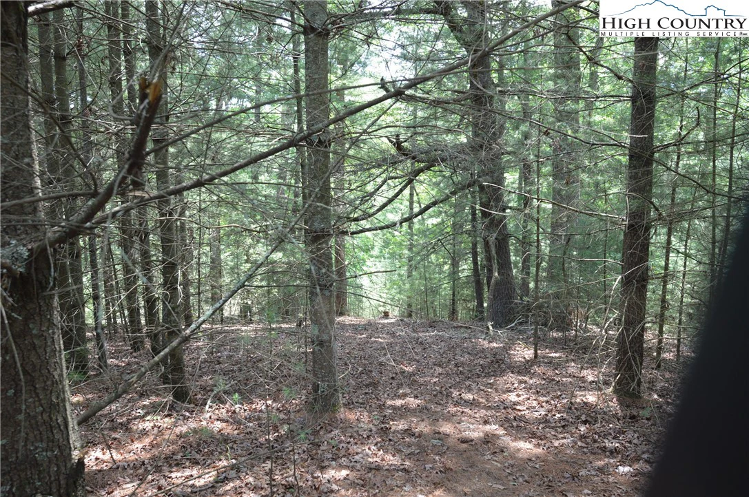 Image number 9 for the current listing