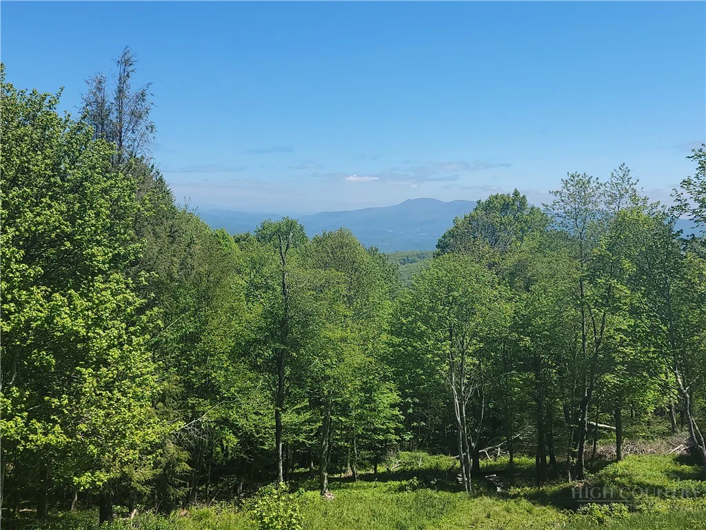 Image number 1 for the current listing