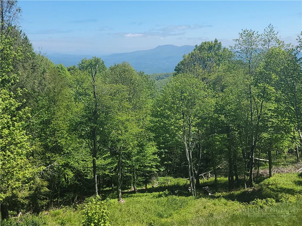 Image number 2 for the current listing
