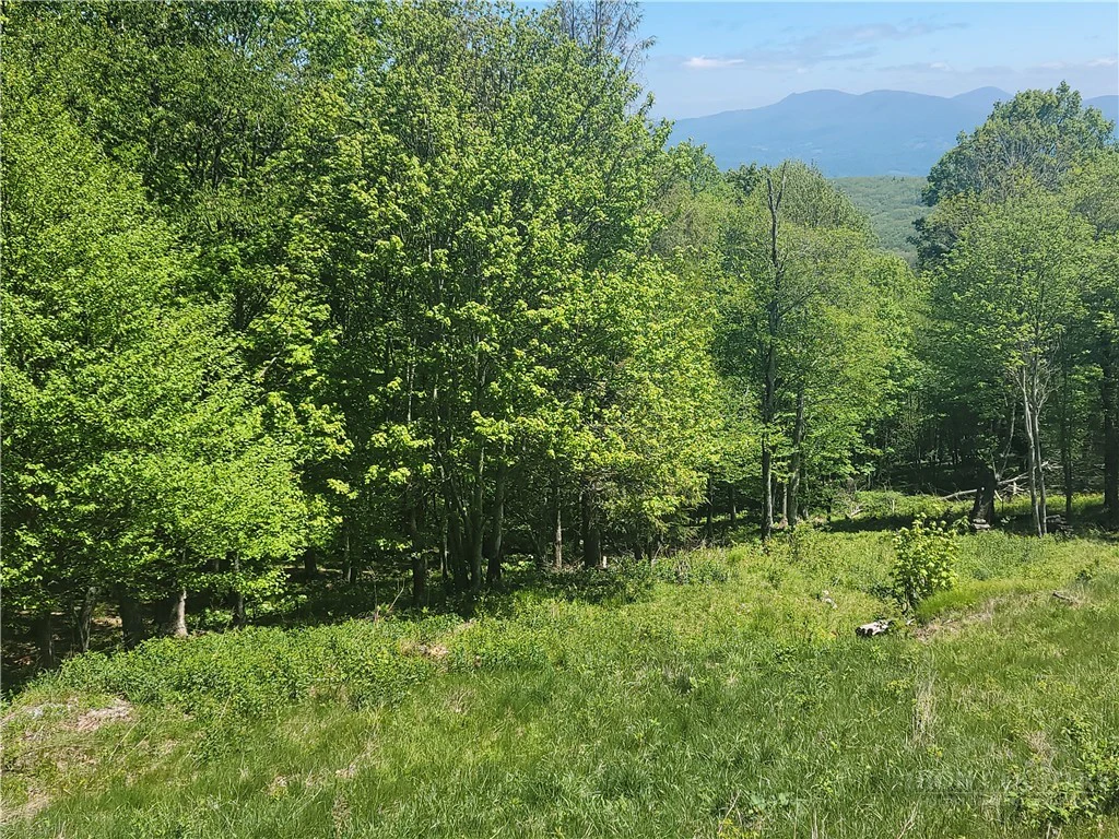Image number 3 for the current listing