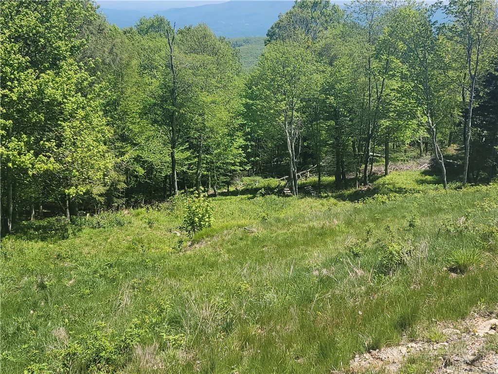 Image number 4 for the current listing