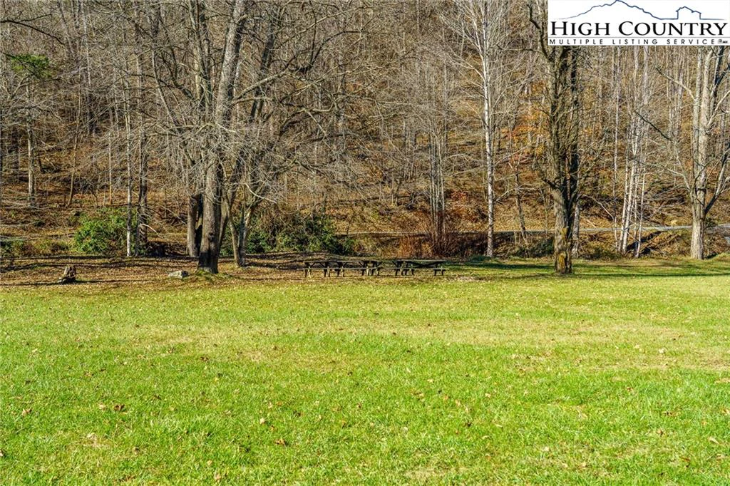 Image number 2 for the current listing