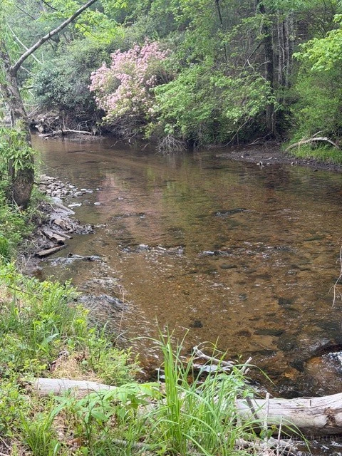 Image number 1 for the current listing