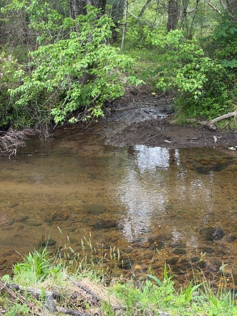 Image number 18 for the current listing