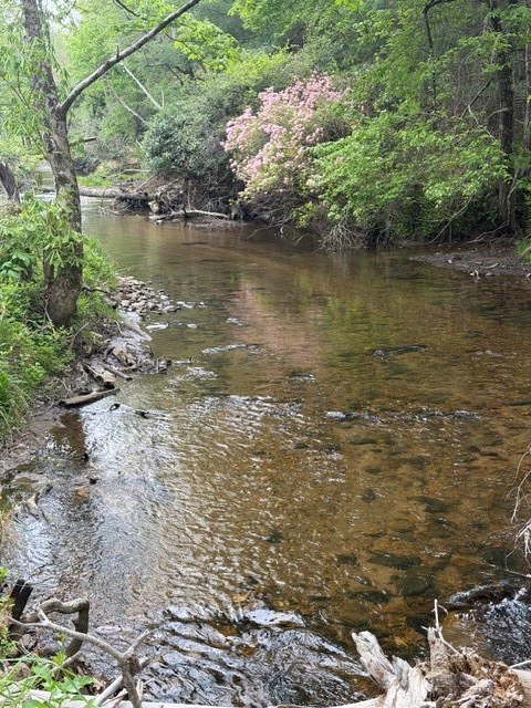Image number 16 for the current listing