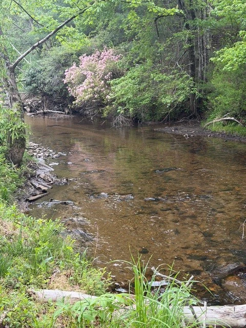 Image number 14 for the current listing