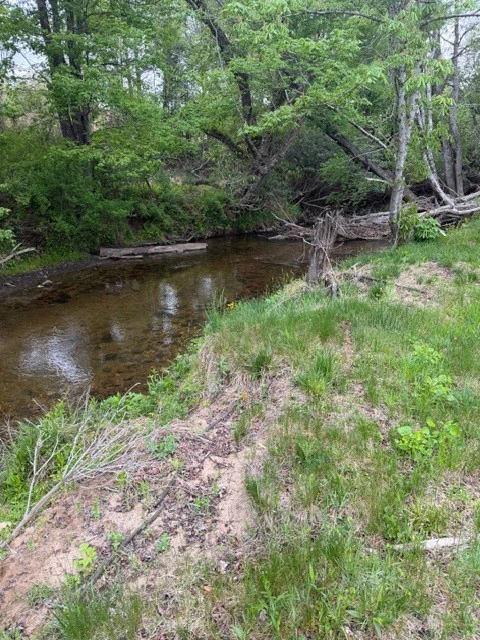 Image number 13 for the current listing