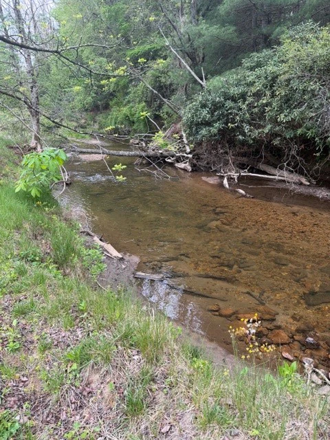 Image number 2 for the current listing