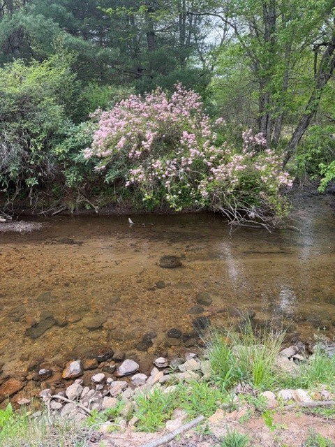 Image number 12 for the current listing
