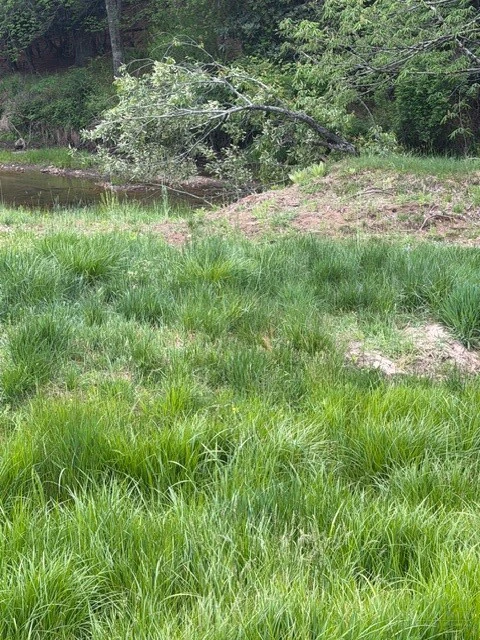 Image number 10 for the current listing