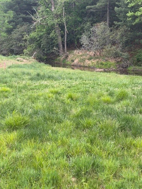 Image number 9 for the current listing