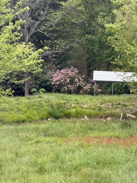 Image number 5 for the current listing