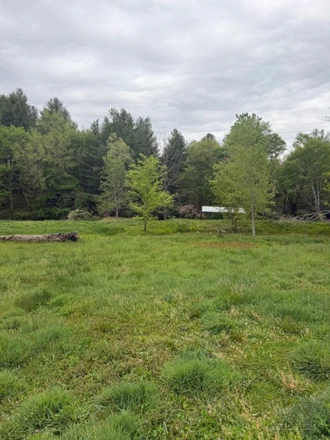 Image number 4 for the current listing