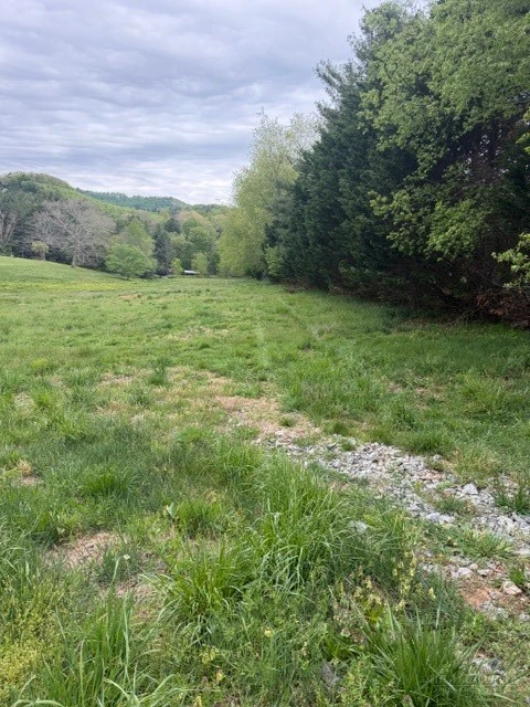 Image number 3 for the current listing
