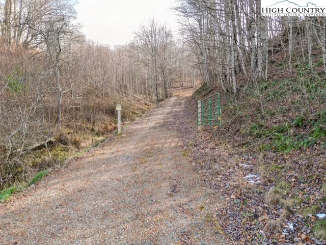 Image number 1 for the current listing