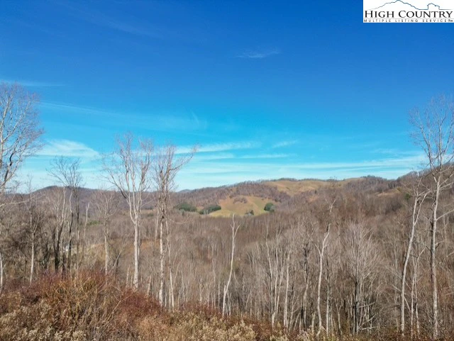 Image number 2 for the current listing