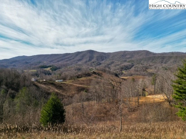 Image number 11 for the current listing