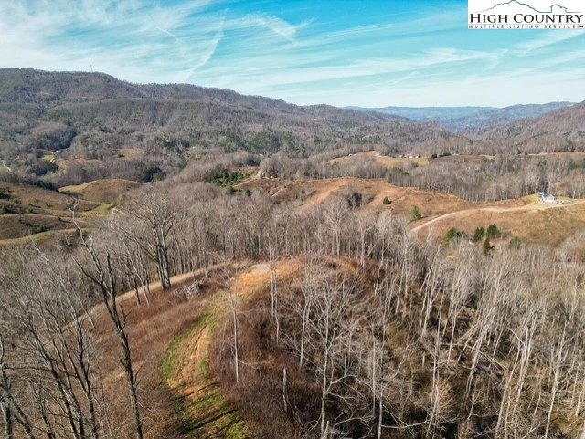 Image number 4 for the current listing