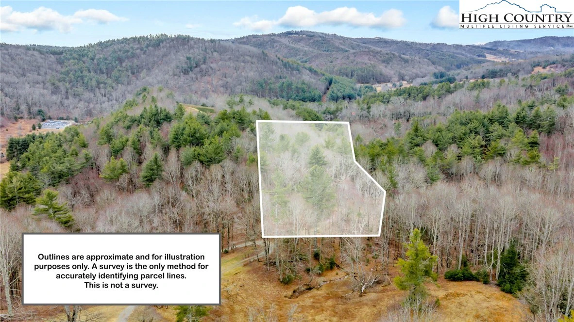 Image number 1 for the current listing