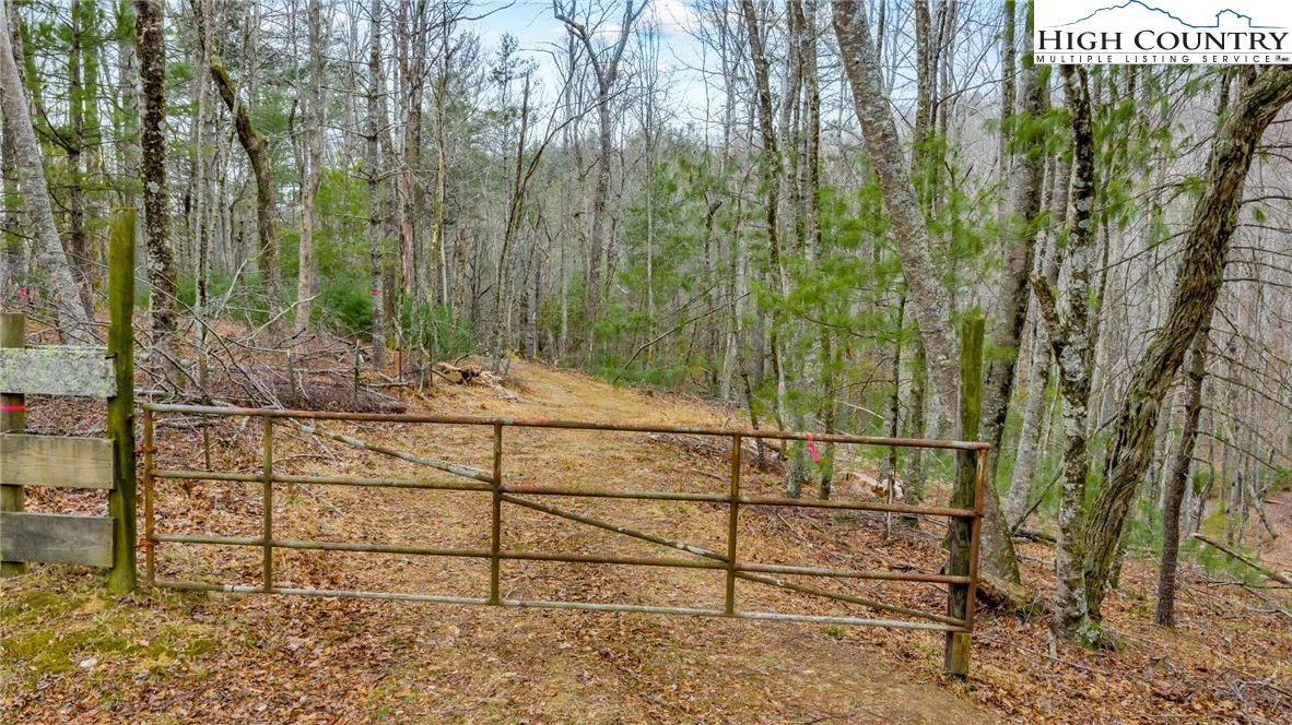 Image number 21 for the current listing