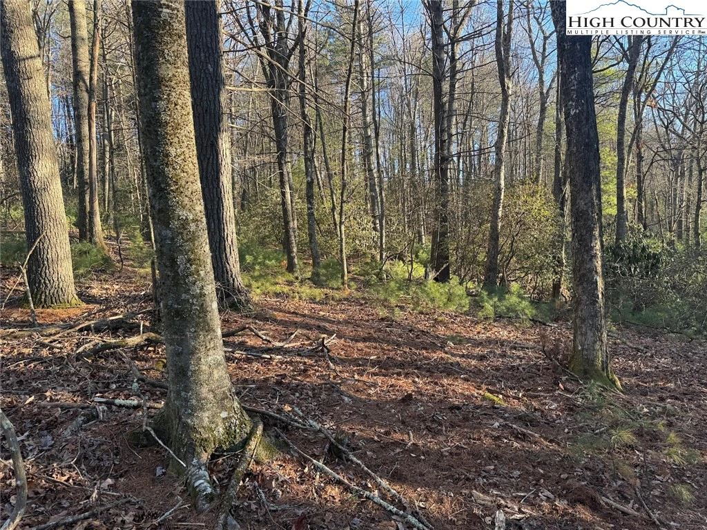 Image number 18 for the current listing
