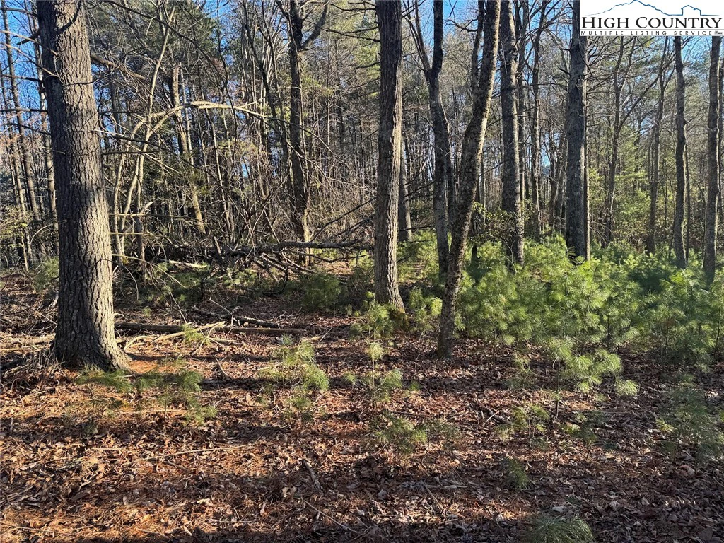 Image number 14 for the current listing