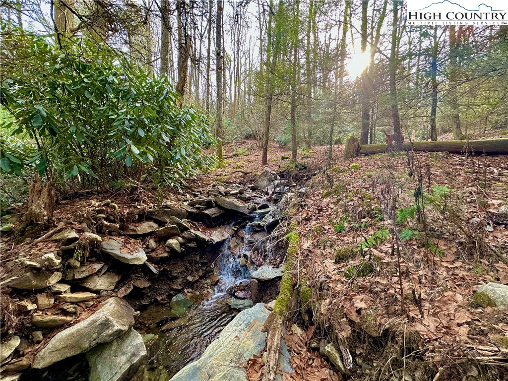 Image number 2 for the current listing