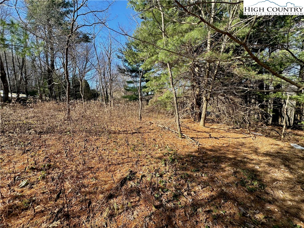 Image number 14 for the current listing