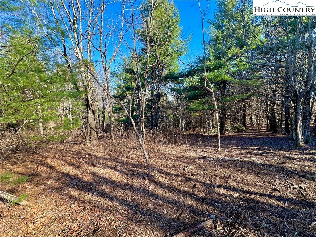 Image number 13 for the current listing