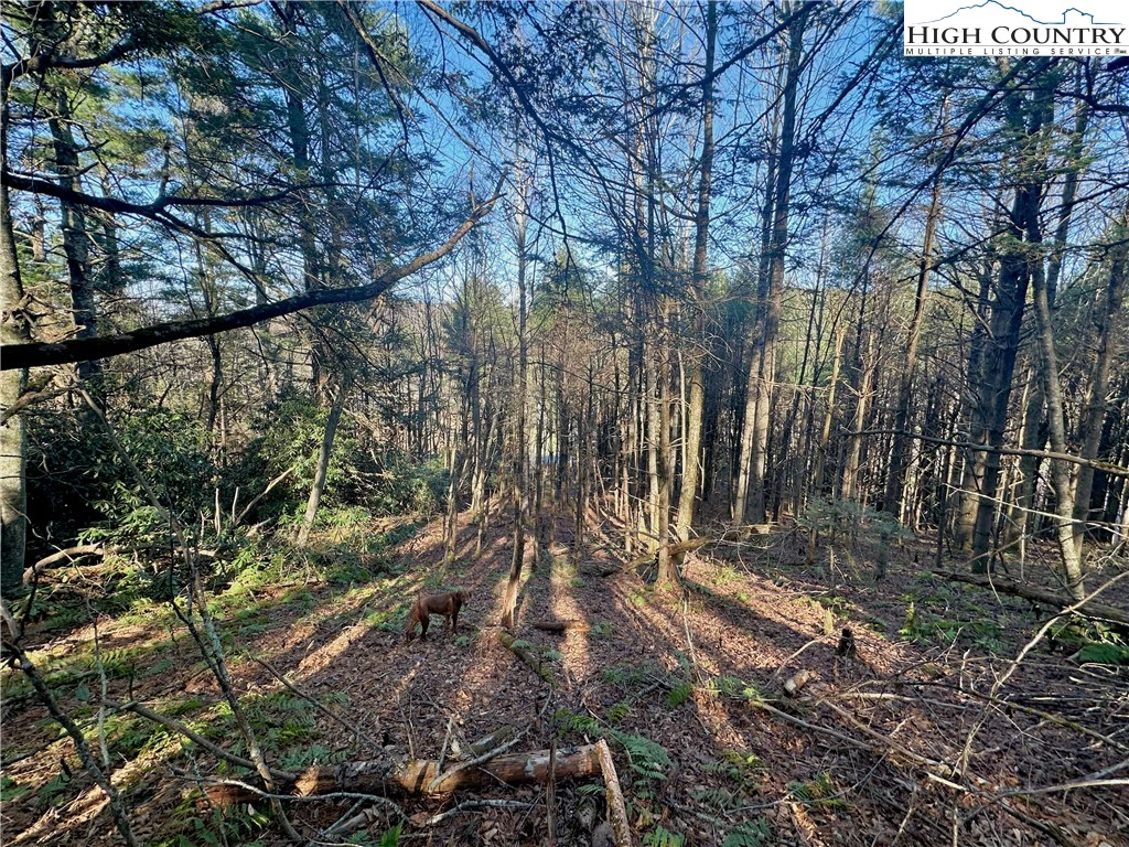 Image number 7 for the current listing