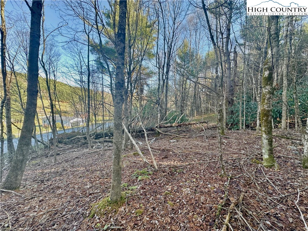 Image number 5 for the current listing