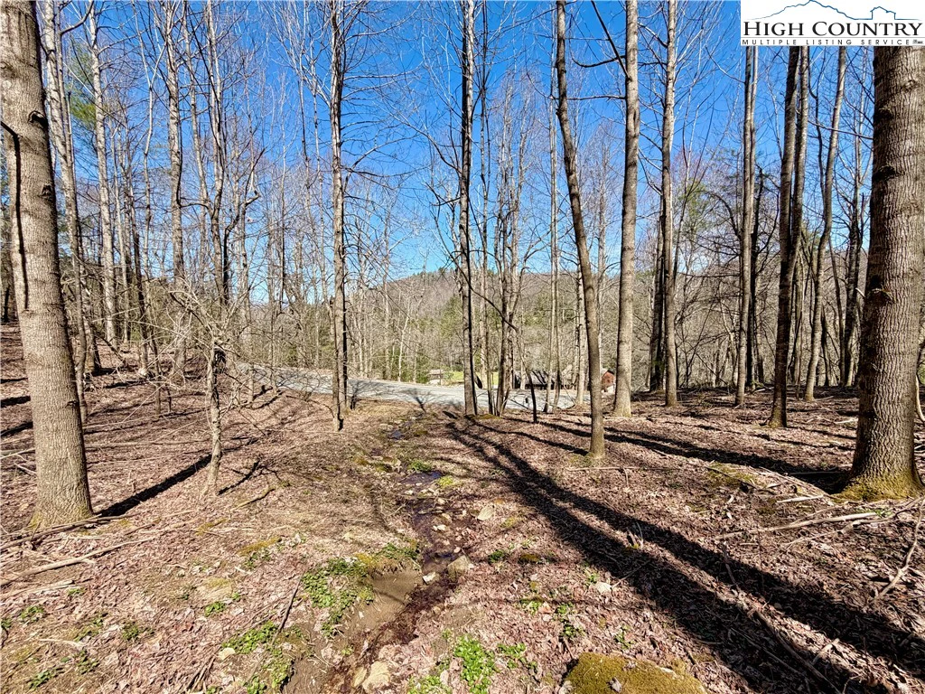 Image number 19 for the current listing