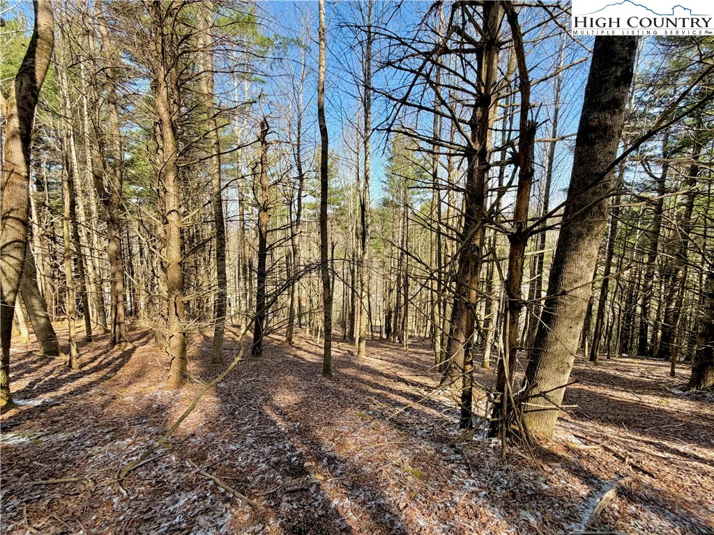 Image number 2 for the current listing