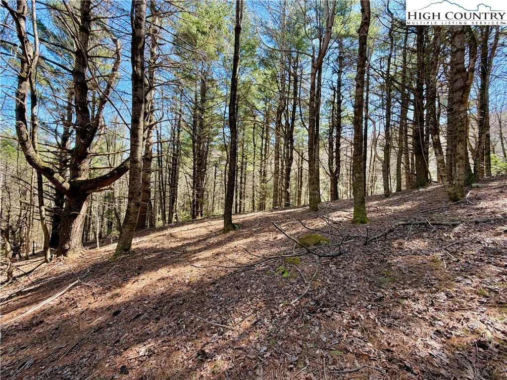 Image number 13 for the current listing
