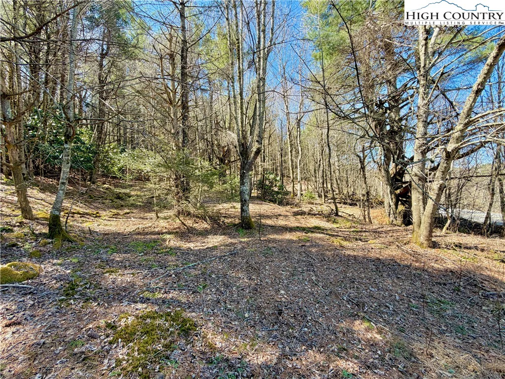 Image number 11 for the current listing