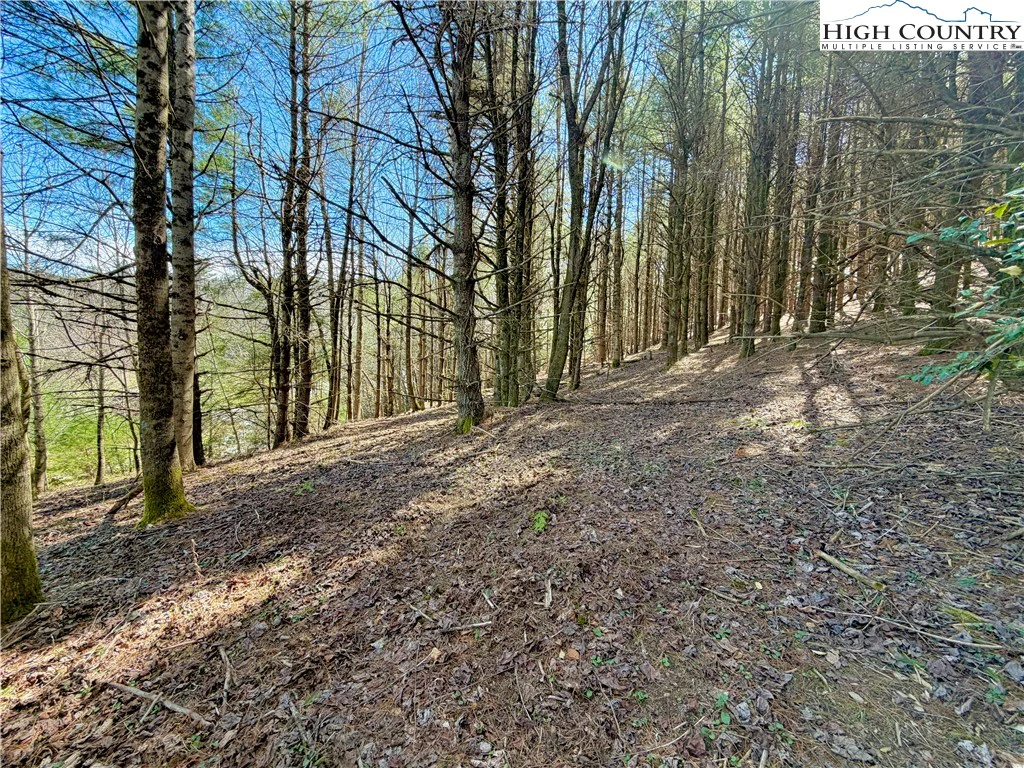 Image number 10 for the current listing