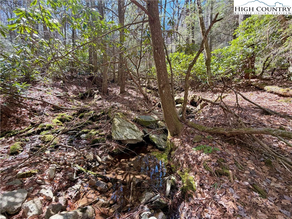 Image number 9 for the current listing