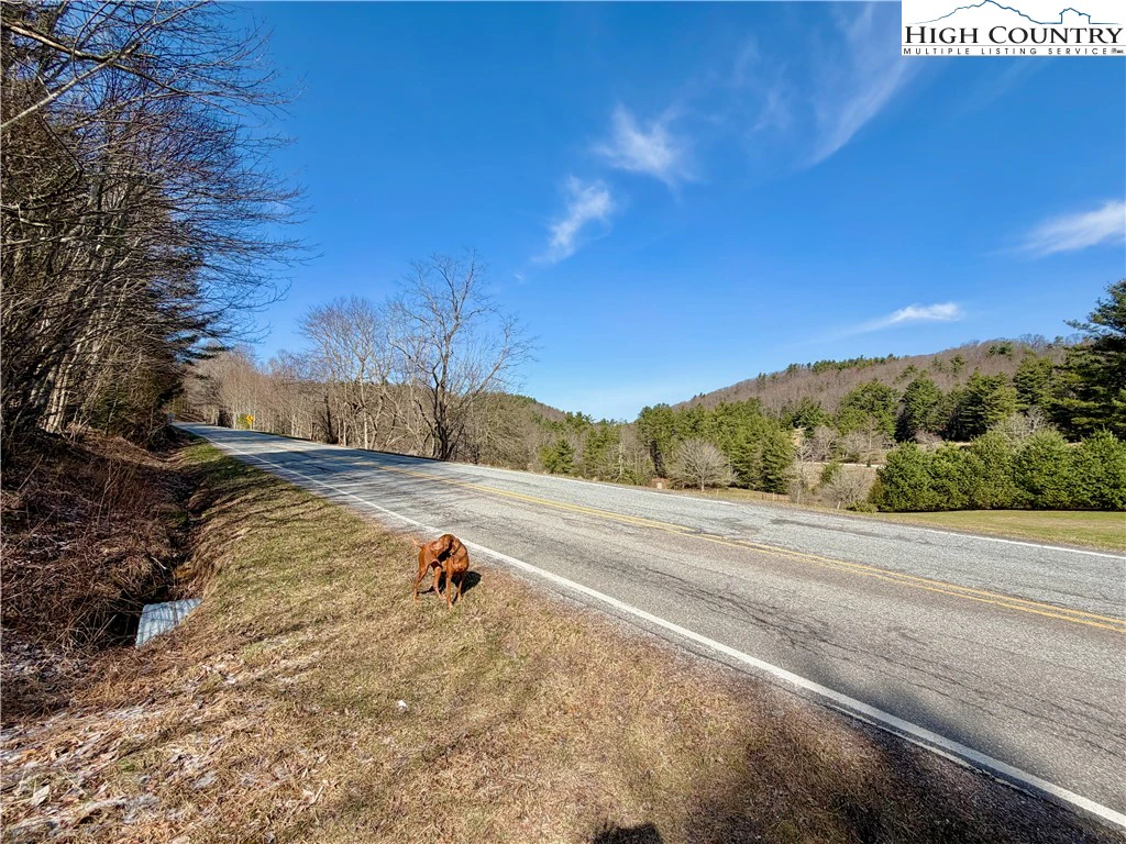 Image number 5 for the current listing