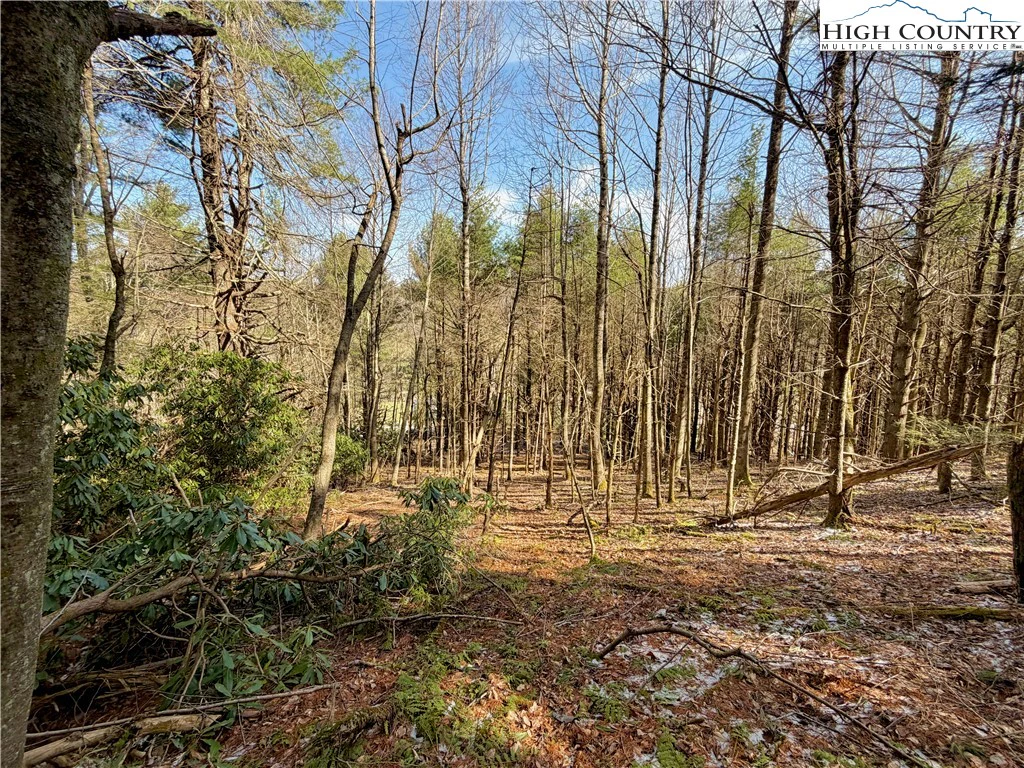 Image number 17 for the current listing