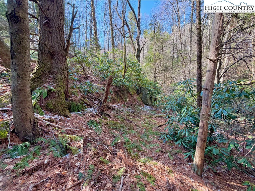 Image number 16 for the current listing