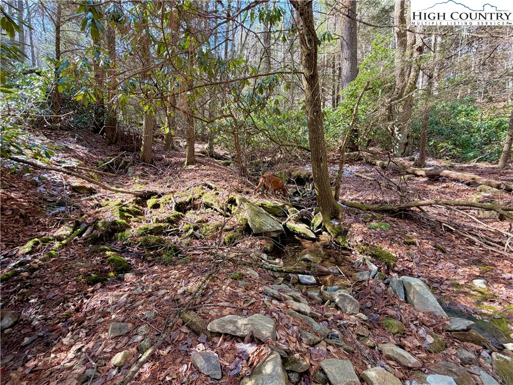 Image number 15 for the current listing