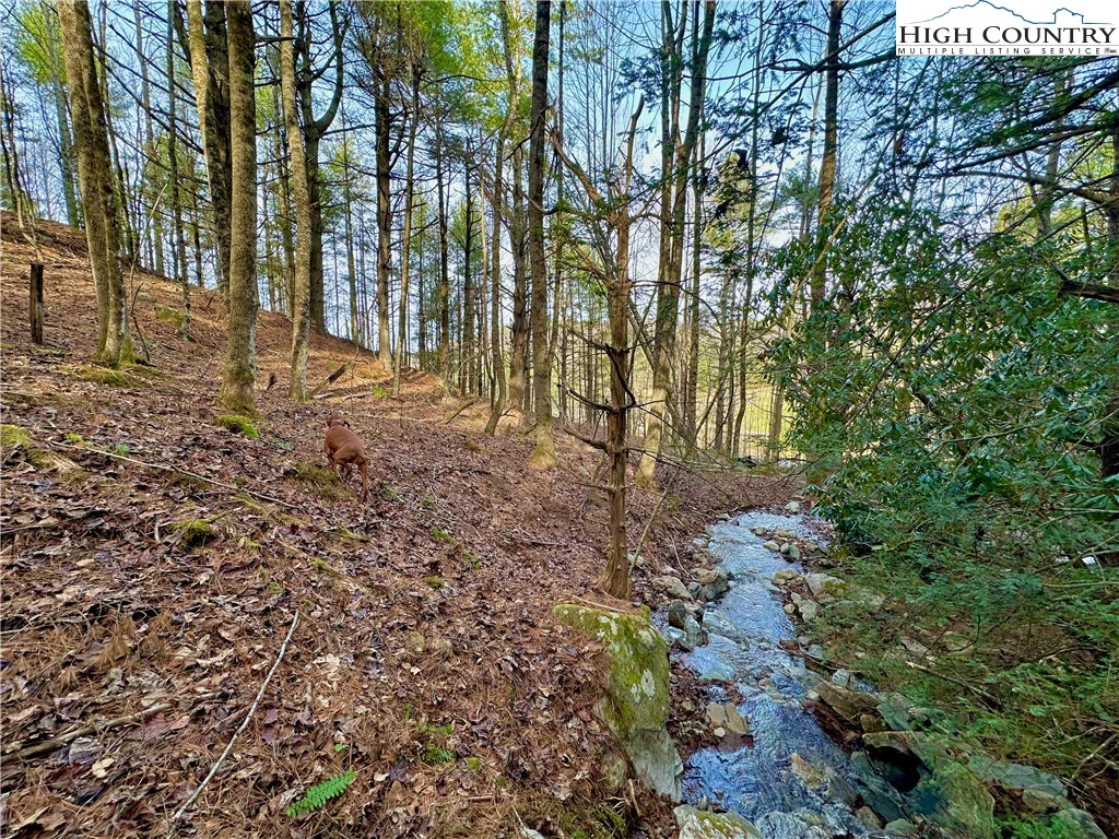 Image number 2 for the current listing