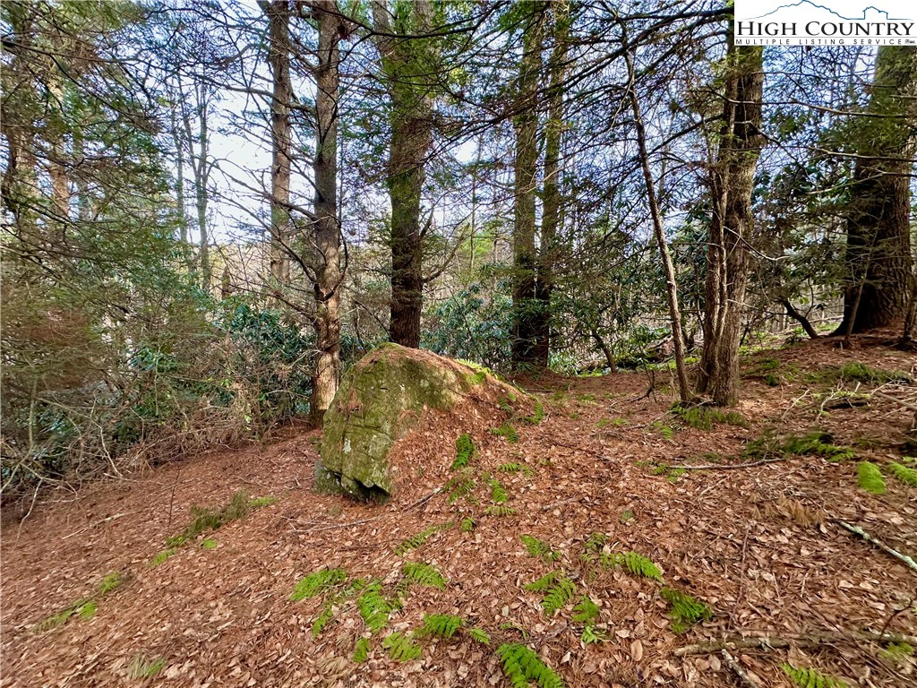 Image number 14 for the current listing