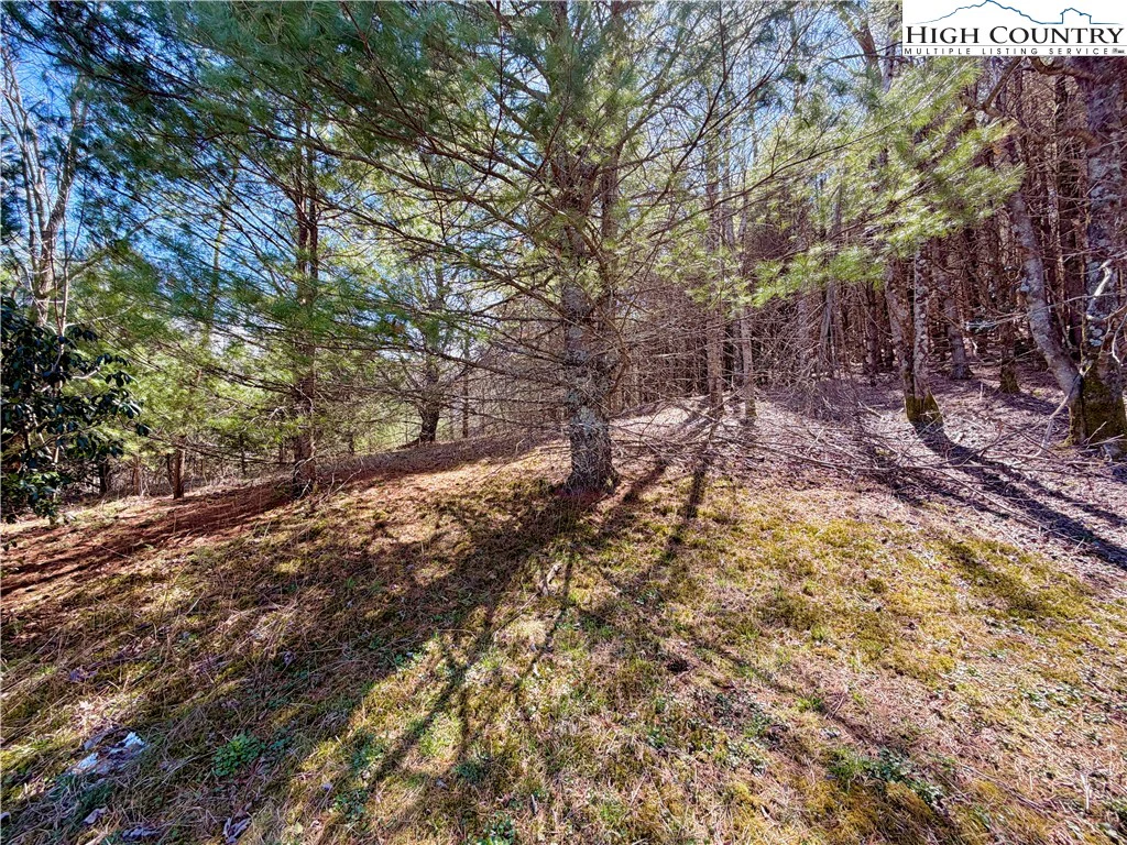 Image number 12 for the current listing