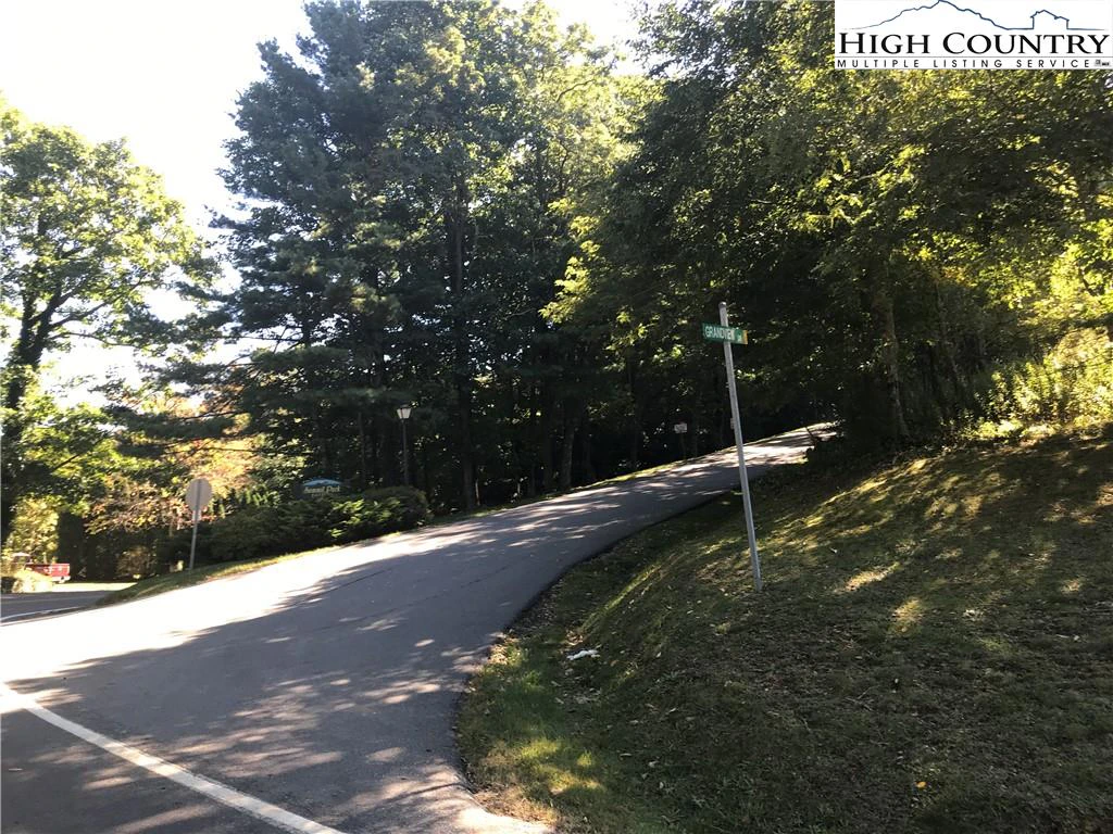 Image number 1 for the current listing