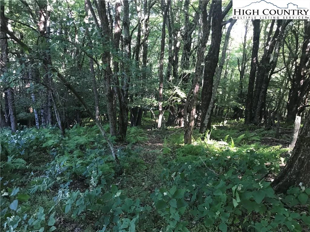Image number 5 for the current listing