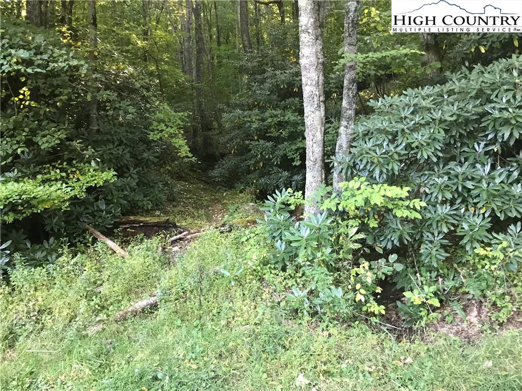 Image number 6 for the current listing