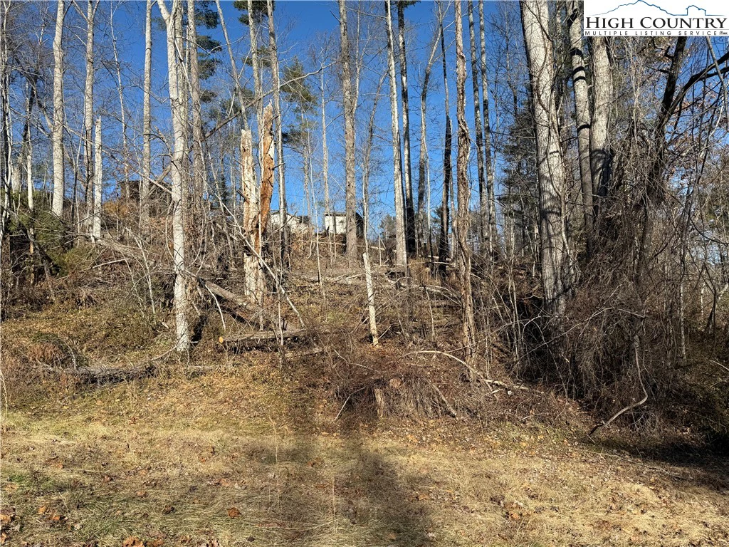 Image number 1 for the current listing