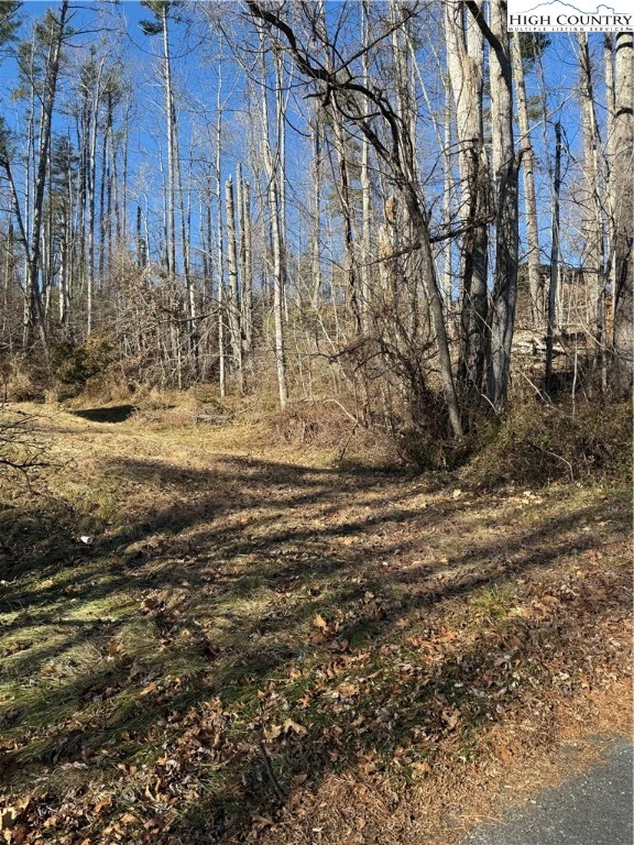 Image number 3 for the current listing